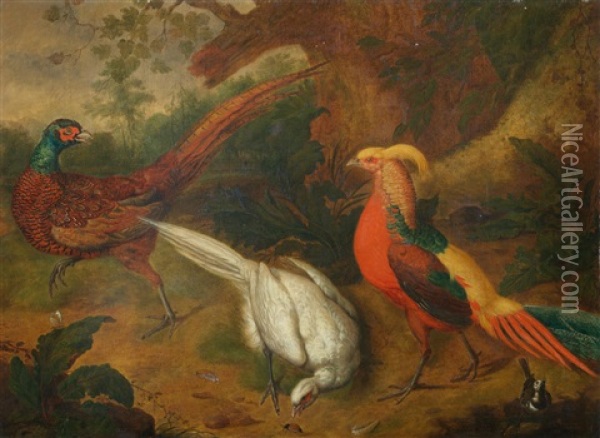 Two Common Pheasants, A Golden Pheasant And A Pied Wagtail In A Landscape Oil Painting - Peter (Pieter Andreas) Rysbrack