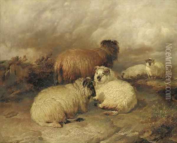 Sheep in a moorland landscape Oil Painting - Thomas Sidney Cooper