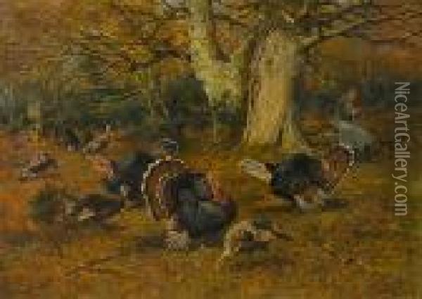 Turkeys In A Wood Oil Painting - John Emms