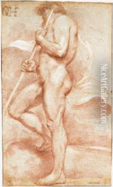 Standing Male Nude Holding A Staff, Seen From The Side Oil Painting - Andrea Sacchi