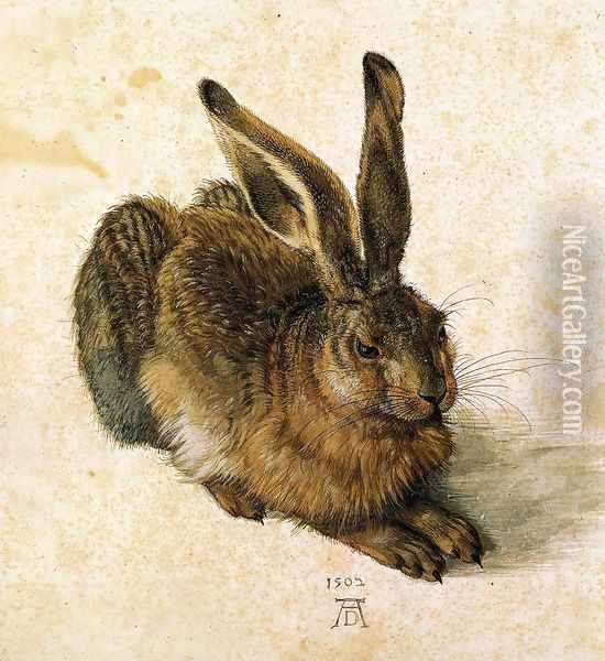 Young Hare I Oil Painting - Albrecht Durer