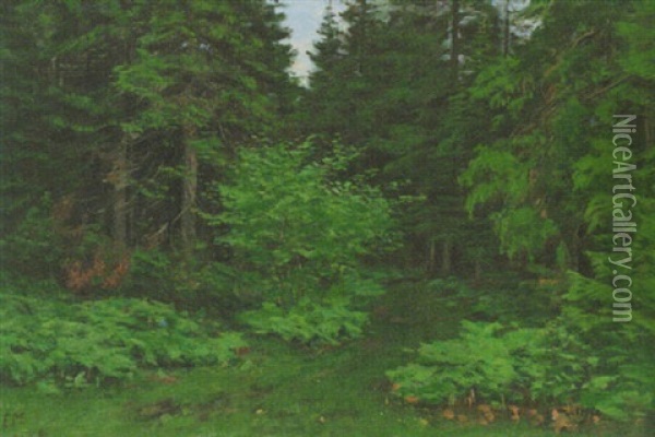 Metsapolku Oil Painting - Elias Muukka