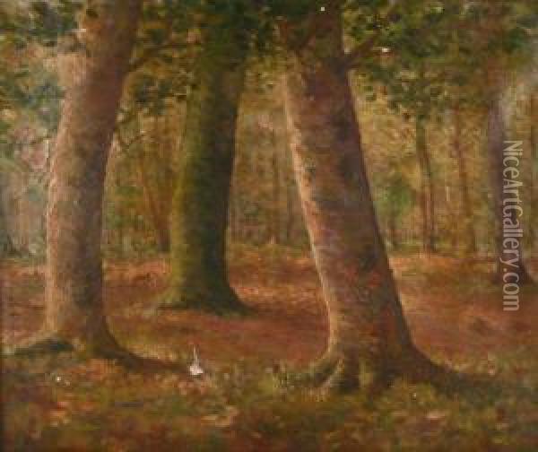 Trees In Forest Clearing Oil Painting - Oscar Miller