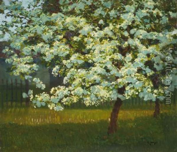 An Orchard In Blossom Oil Painting - Karel Langer