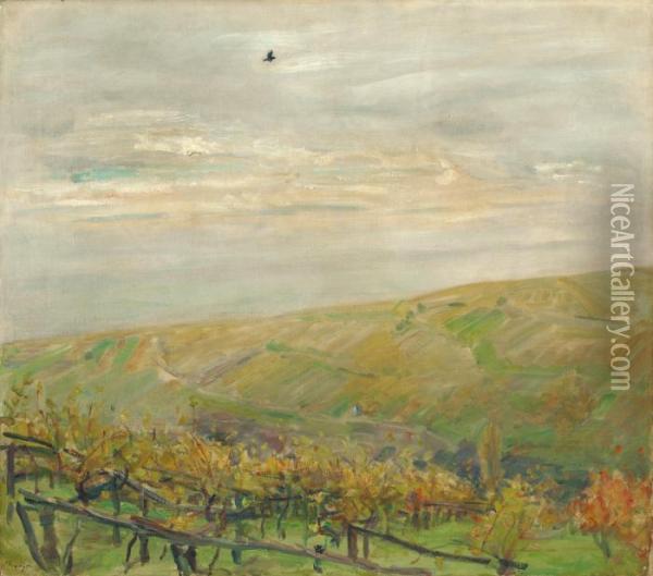 Landschaft Mit Fliegendem Vogel Oil Painting - Max Slevogt