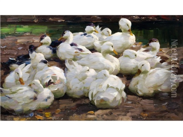 Ruhende Entenfamilie Am Ufer Oil Painting - Alexander Max Koester