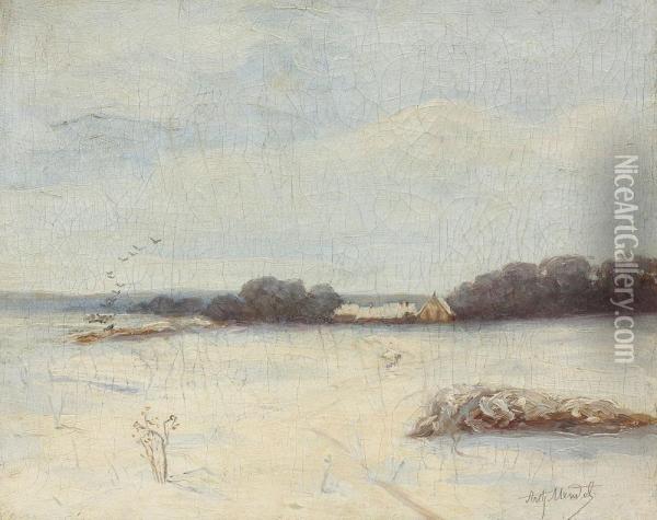 Peisaj De Iarna Oil Painting - Arthur Mendel