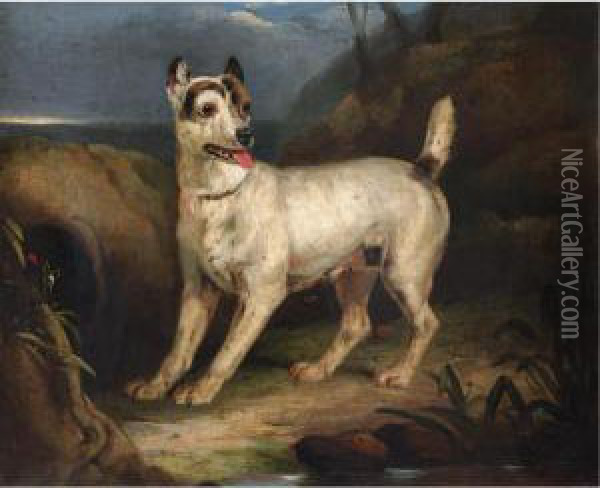 Portrait Of A Terrier In A Landscape Oil Painting - Henry Bernard Chalon