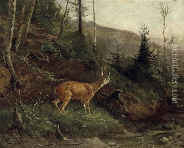 Rehbock Und Jager Im Hochwald Oil Painting - Anton Weinberger