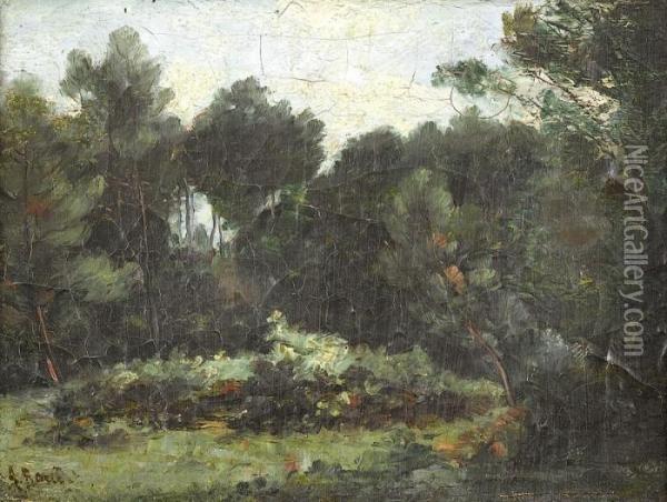 Landschaftspartie Mit Waldlichtung Oil Painting - Amedee Baudit