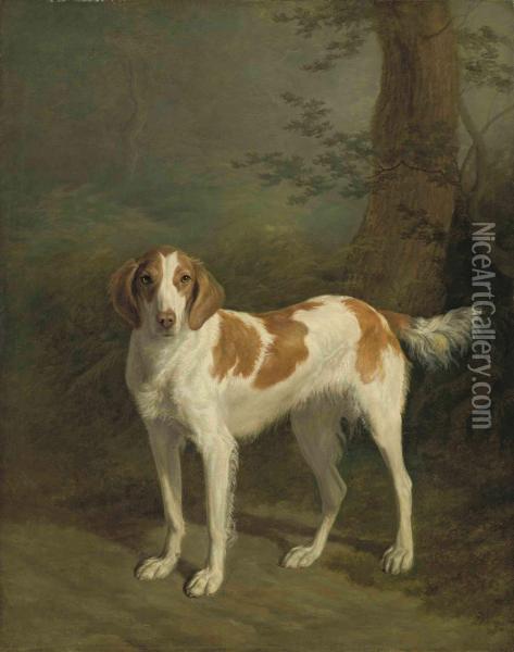 Dash, A Setter In A Wooded Landscape Oil Painting - Jacques Laurent Agasse