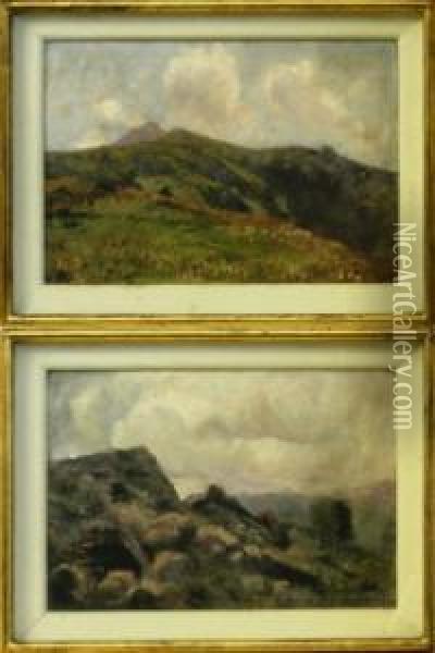 Coppia Di Paesaggi Di Montagna Oil Painting - Carlo Pollonera
