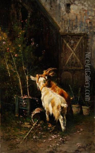 Zwei Ziegen Vor Einem Gartnerhaus, Sich An Den Jungen Topfpflanzen Labend Oil Painting - Giuseppe Carelli