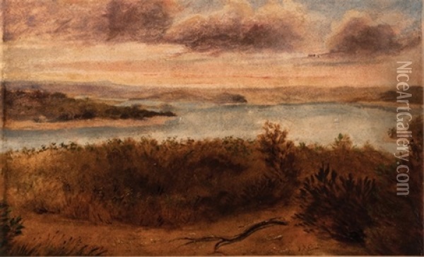 Sydney Harbour Oil Painting - James Howe Carse