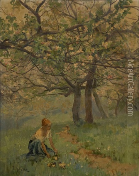 Jeune Fille Nourrissant Les Canetons Oil Painting - Joseph Middeleer