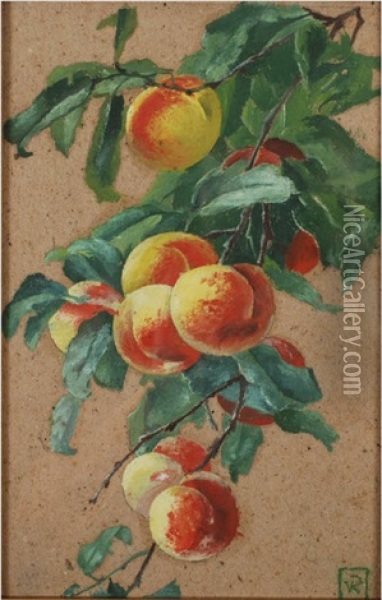 A Peach Laden Branch Oil Painting - Theo van Rysselberghe