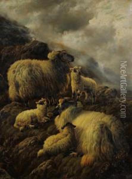 Sheep And Lambs Above The Loch Side Oil Painting - Robert Watson