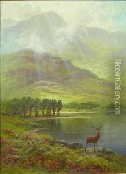 Stag By A Highland Loch Oil Painting - Charles Stuard