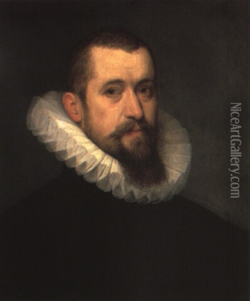 Portrait Of A Bearded Man Wearing A Black Doublet Oil Painting - Frans Pourbus the Elder