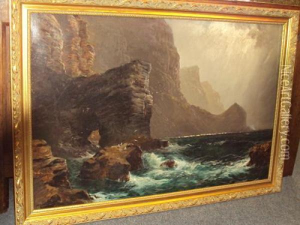 A Coastline With Gulls And Cliffs Oil Painting - Peter Graham