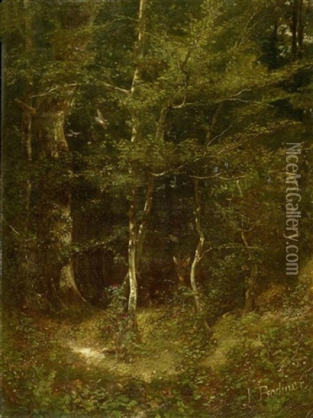 Waldlandschaft Mit Reh Hinter Einem Baum Oil Painting - Karl Bodmer