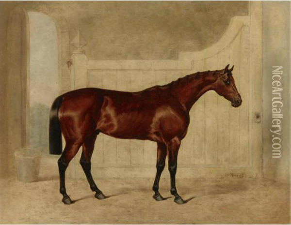 A Bay Horse In A Stable Oil Painting - John Frederick Herring Snr