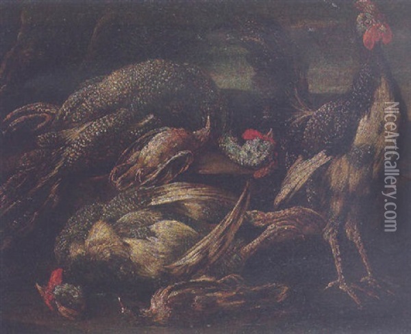Cockerels And Other Birds In A Landscape Oil Painting - Felice Boselli