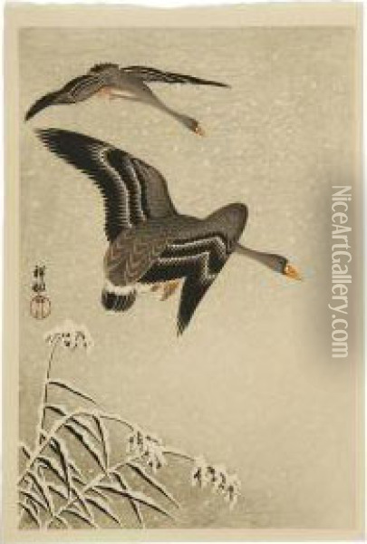 Snowy Reeds And Flying Ducks Oil Painting - Ohara Koson