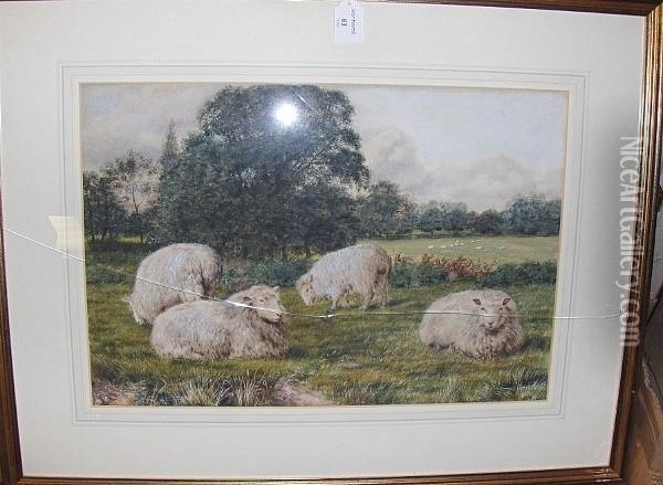 Sheep In A Meadow Oil Painting - Daniel Sherrin