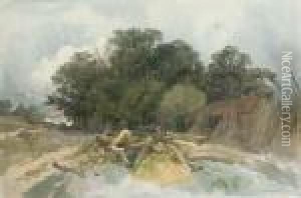 A Pile Of Logs By A Barn In A Clearing Oil Painting - John Middleton