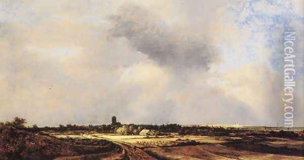 View Of Naarden Oil Painting - Jacob Van Ruisdael
