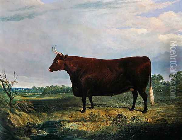 Portrait of a Brown Bull, 1831 Oil Painting - John Frederick Herring Snr