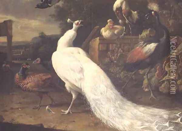 The White Peacock Oil Painting - Melchior de Hondecoeter