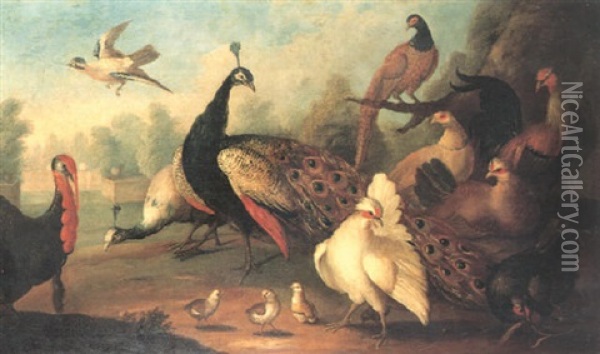 A Parkland With Peacocks, Pheasants And Hens With Chicks, A Turkey And A Jay Oil Painting - Marmaduke Cradock