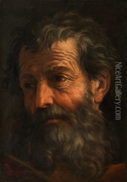 Kopfstudie Eines Bartigen Mannes Oil Painting - Pier Francesco Mola