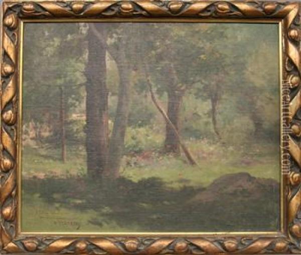 Arbolada En El Jardin Oil Painting - Marian Borrell Folch