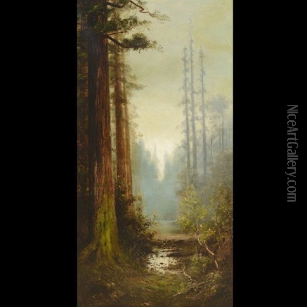 Majestic California Redwoods Oil Painting - Astley David Middleton Cooper
