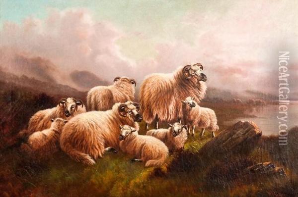 Sheep Resting Oil Painting - William Perring Hollyer