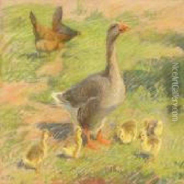 Free-range Chickens And Goose With Goslings Oil Painting - Viggo Johansen
