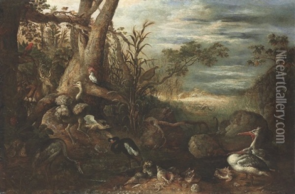 Pelicans, An Ostrich, Parrots, A Stag And Other Animals And Shells In A Wooded Landscape Oil Painting - Hans Savery the Younger