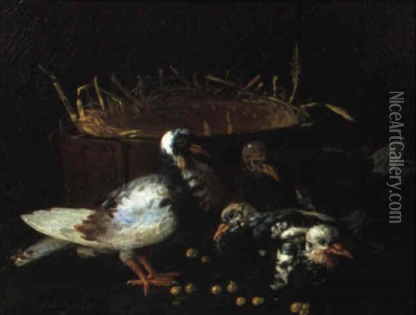 Vier Tauben Oil Painting - Felice Boselli