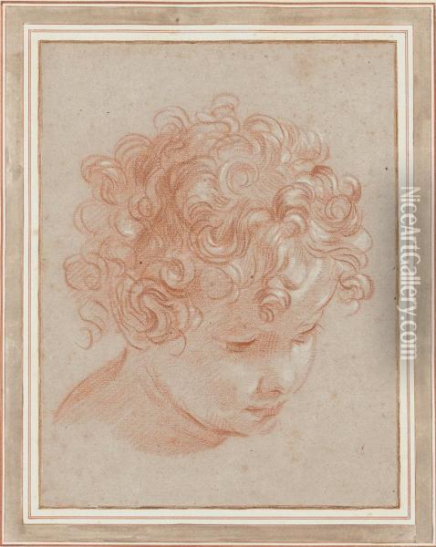Head Of A Young Boy With Curly Hair, Looking Down To Theright Oil Painting - Niccolo Berrettoni