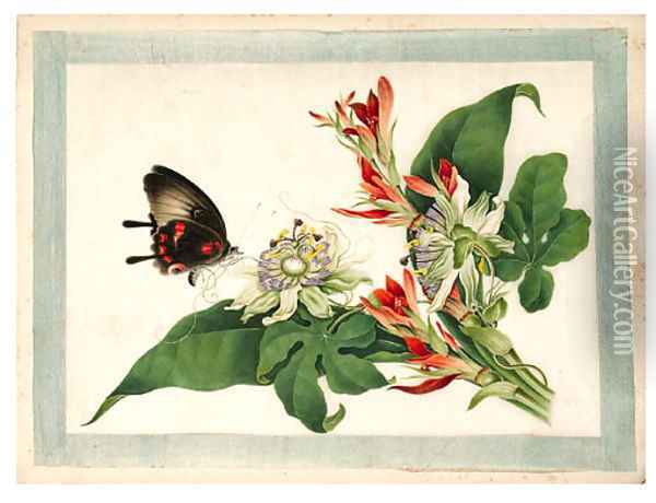 Flower and butterfly Oil Painting - Anglo-Chinese School