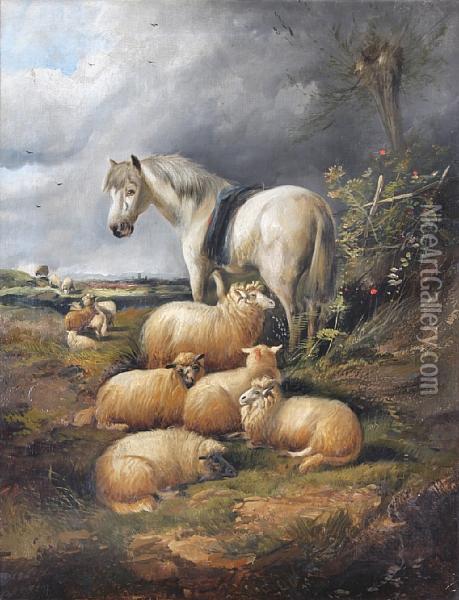 Pony And Sheep Seated By A Bank Oil Painting - Alfred Morris