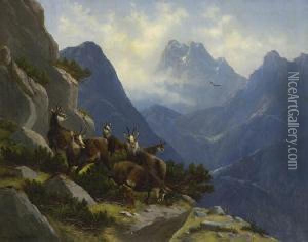 Gamswild Im Hochgebirge Oil Painting - Moritz Muller
