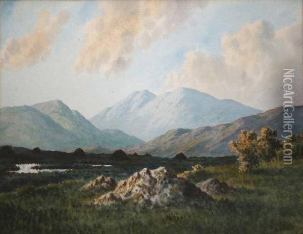 Mamm, Connemara Oil Painting - Douglas Alexander