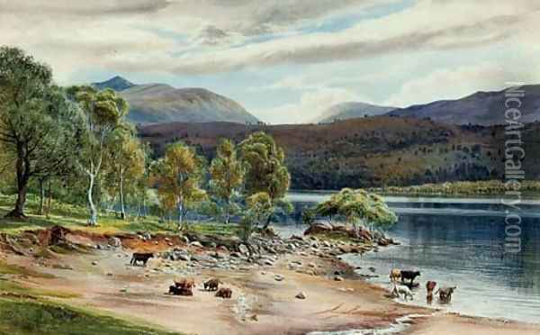 Highland cattle watering at a loch Oil Painting - English School