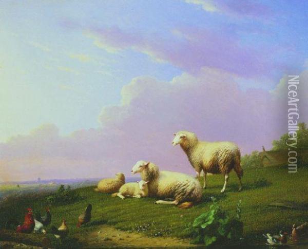 Sheep At Rest With Ducks And Chickens Oil Painting - Franz van Severdonck