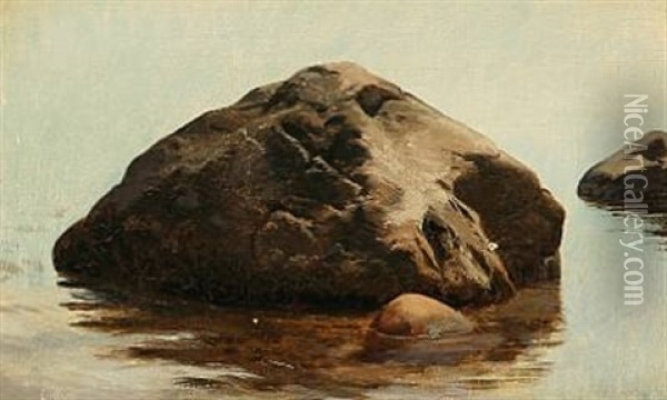 Large Stones At The Water Edge Oil Painting - Janus la Cour
