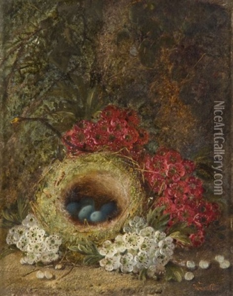 Nid Dans Un Sous-bois (+ Composition Aux Pommes, Prunes, Raisins Et Framboises; Pair) Oil Painting - Vincent Clare